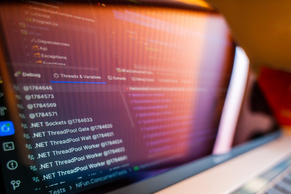 Курсы программирования и веб-дизайна